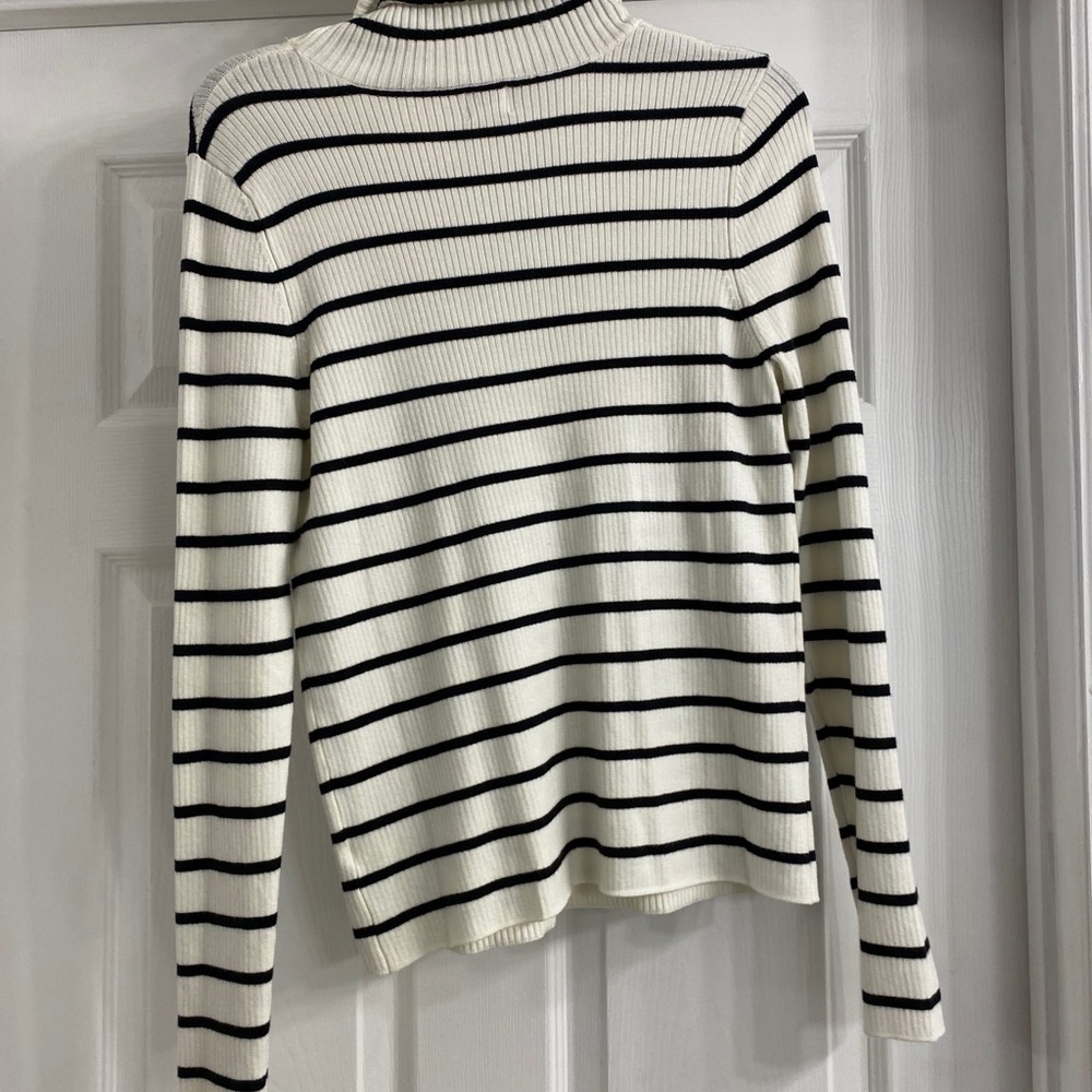 Black and white stripe turtle neck sweater